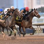 Commandment Edges Chief Wallabee to Win Fountain of Youth Stakes